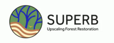 SUPERB project logo