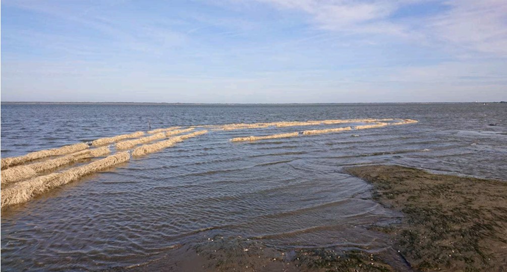 Figure 5. Hybrid NbS with barriers to protect seagrass in the Arcachon bay, France