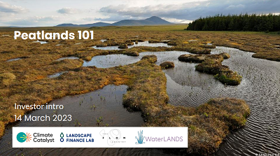 banner for peatlands 101 webinar