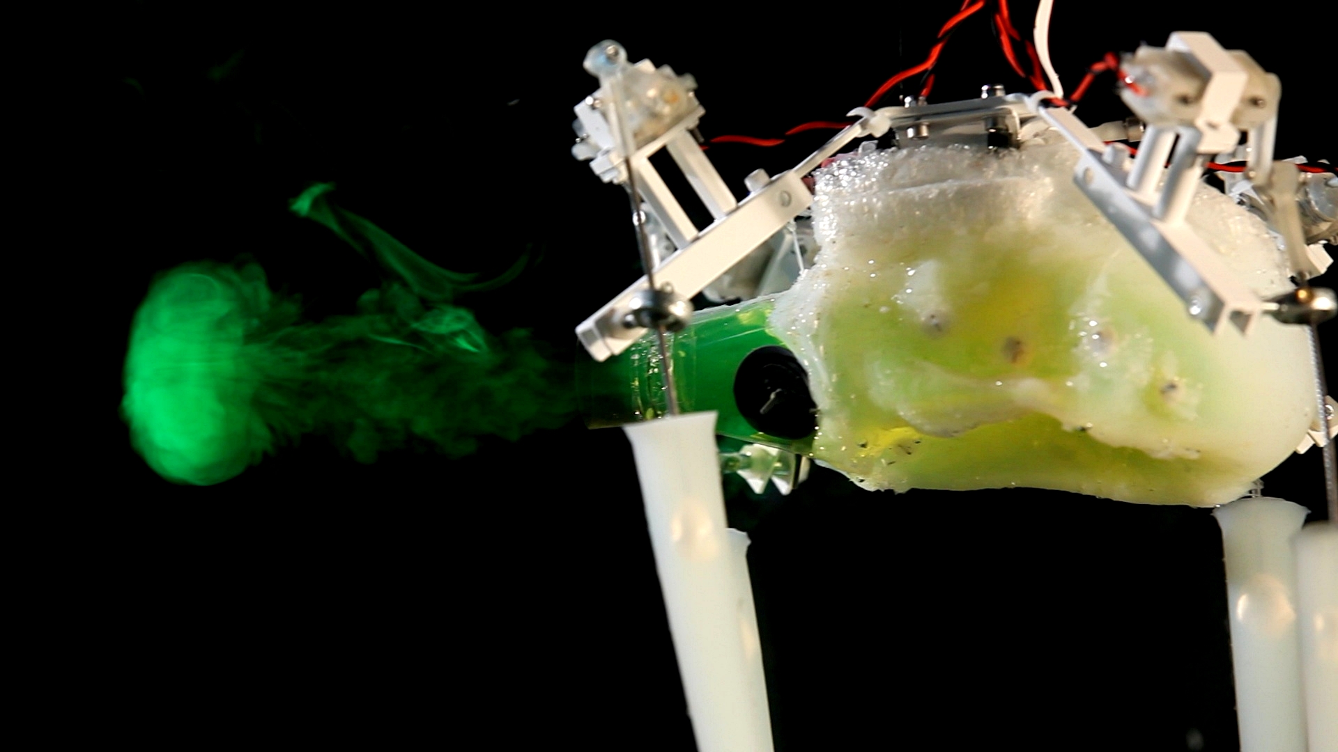 The researchers put cables and a small motor inside a flexible rubber shell, which can easily fill up and expel water. Image credit: Age of Robots, M. Brega
