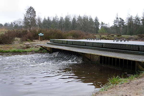  Intake area for the infiltration at the infiltratiegebied Koekenberg, near the Ossenweg Epe (Netherlands)