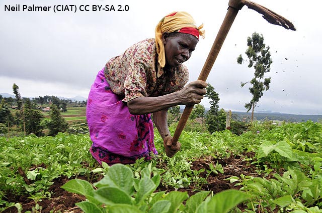 Image credit - A Kenyan woman farmer at work in the Mount Kenya region by Neil Palmer (CIAT) is licensed under CC BY-SA 2.0