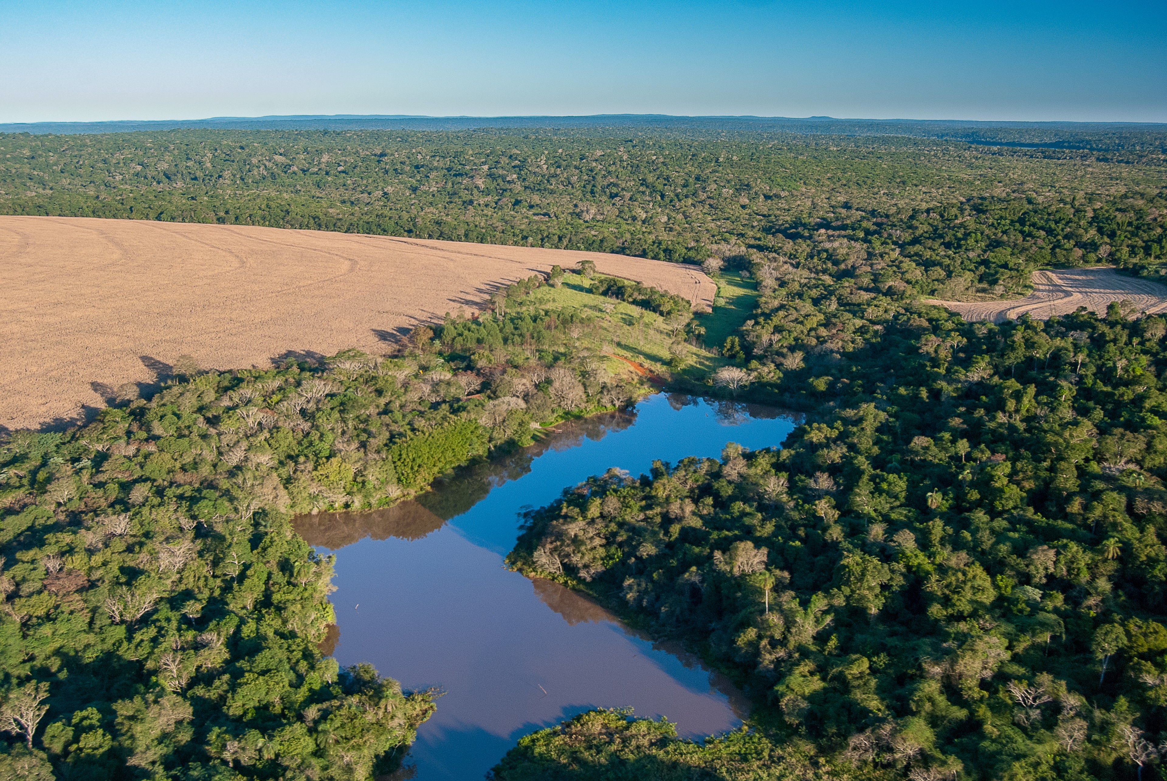 Deforestation cuts through community as well as biodiversity