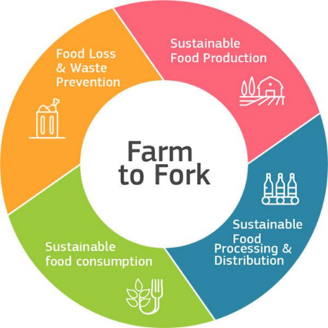 Farmn to Fork graphic