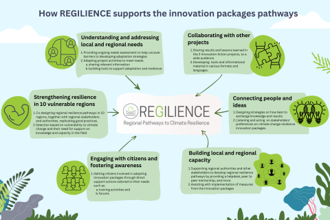 REGILIENCE The REGILIENCE project seeks to support communities, cities and regions in their efforts towards building climate-resilient pathways. It facilitates the identification and upscaling of the most promising resilience solutions: supporting their replication in 10 vulnerable and low-capacity regions in Europe; communicating them through various channels and actions; and inspiring policymakers, organisations, and individuals to become part of the change.  It facilitates the identification and upscalin
