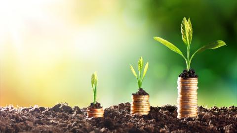 sustainable investment image - money and growing plants