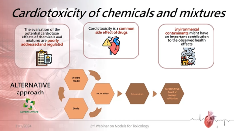 Screenshot of the webinar on toxicology models