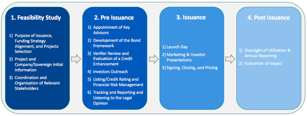 Key Practical Steps to issue a Blue Bond 