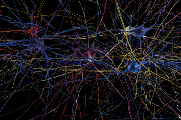 Simulated neuronal network showing 3D shapes of individual cells (reconstructed from lab data). Blue cells are silent, red cells are firing. © EPFL/Blue Brain Project