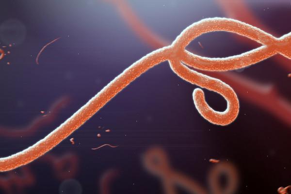 There could be an effective Ebola vaccine in 2015, said infectious diseases researcher Dr Javier Moreno. Image: Shutterstock/ jaddingt 