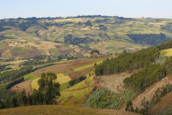 In Ethiopia, researchers identified three major challenges related to water and land use: rainfall variability, poor soil fertility and a shortage of land. Image: Shutterstock/John Wollwerth
