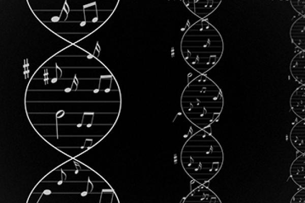  Composer Deirdre Gribbin and scientist Dr Sarah Teichmann's collaboration led to the creation of a musical score based on the patterns in human DNA.