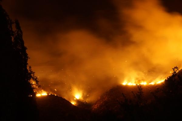 The 2017 Chilean wildfires, along with those in Portugal, were confirmation that the new type of fire was here to stay. Image credit - Pablo Trincado, licensed under CC BY 2.0