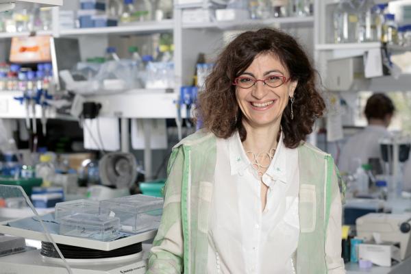 Dr Geneviève Almouzni is Deputy Director of the Institut Curie in Paris, France. © Pedro Lombardi/Institut Curie