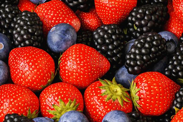 EU research is helping berry producers in Europe meet growing consumer demand. ©r.classen, Shutterstock.com