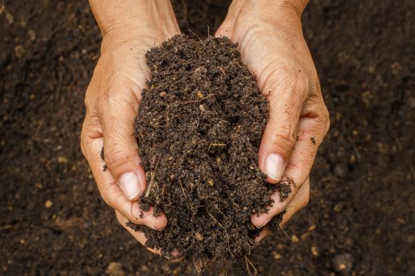 Soils, a critical resource often overlooked