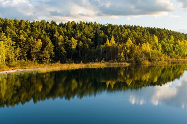 Lakes and forests are prime locations for biodiversity researchers to collect environmental DNA. © MNStudio, Shutterstock.com