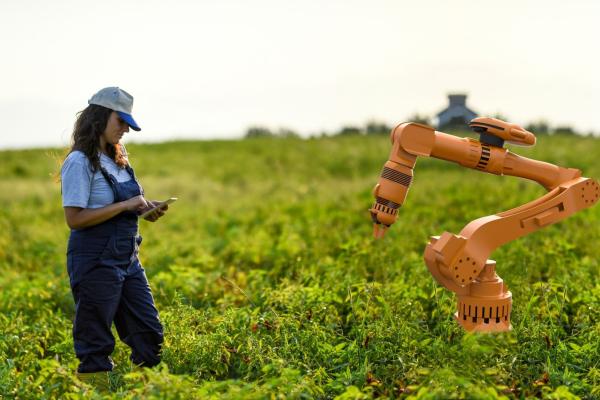 Artificial intelligence is set to revolutionise agriculture by helping farmers meet field-hand needs and identify diseased plants.  © baranozdemir, iStock