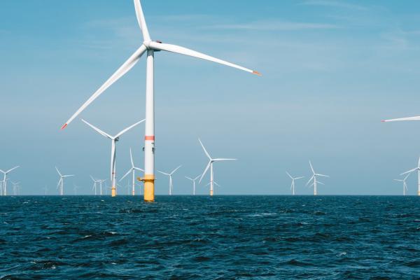 Robotic technology can make offshore wind power cheaper. Image credit: Jesse De Meulenaere on Unsplash