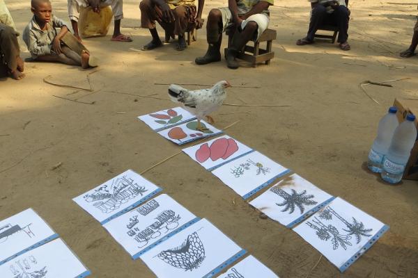 Participatory Design session in Congo-Brazzaville for the icons that will be used in Sapelli. © Michalis Vitos