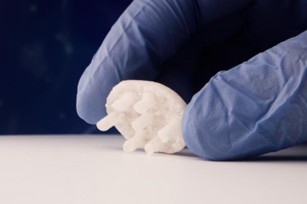 A scientist holds a silk-based knee implant in their fingers. © Orthox Ltd, 2022