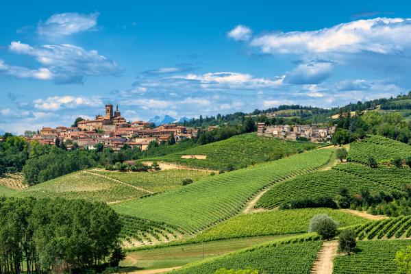 Asti in Italy is among numerous towns across Europe reviviving the countryside. © Claudio Giovanni Colombo, Shutterstock.com