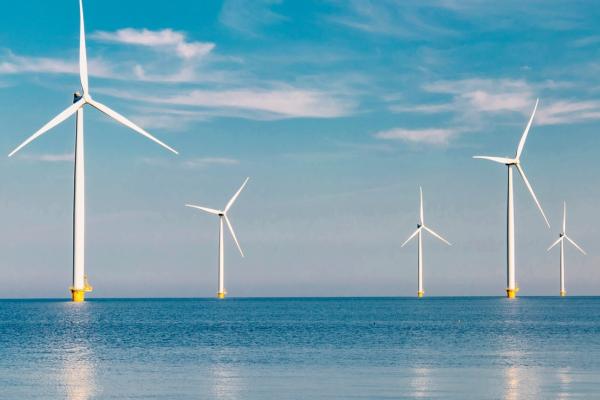 EU sites with offshore wind farms could also be used to grow seafood. © fokke baarssen, Shutterstock.com