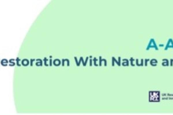 Protection and restoration through Nature-based solutions